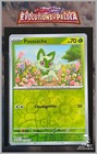 Carte Pokémon Poussacha 013/193 Reverse PAL FR Evolutions à Paldea EV2
