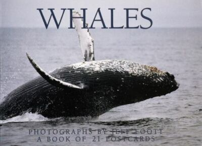 Whales Postcard Book by Browntrout Publishers