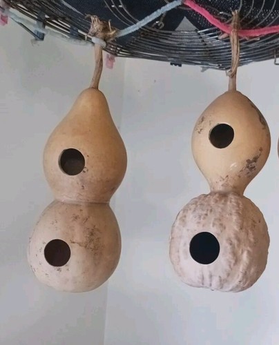 Casetta Colibrì Zucca 2 Fori Ingresso Con Appendiabiti Filo Rame Piccola Casetta BirdhoHouse - Foto 1 di 8