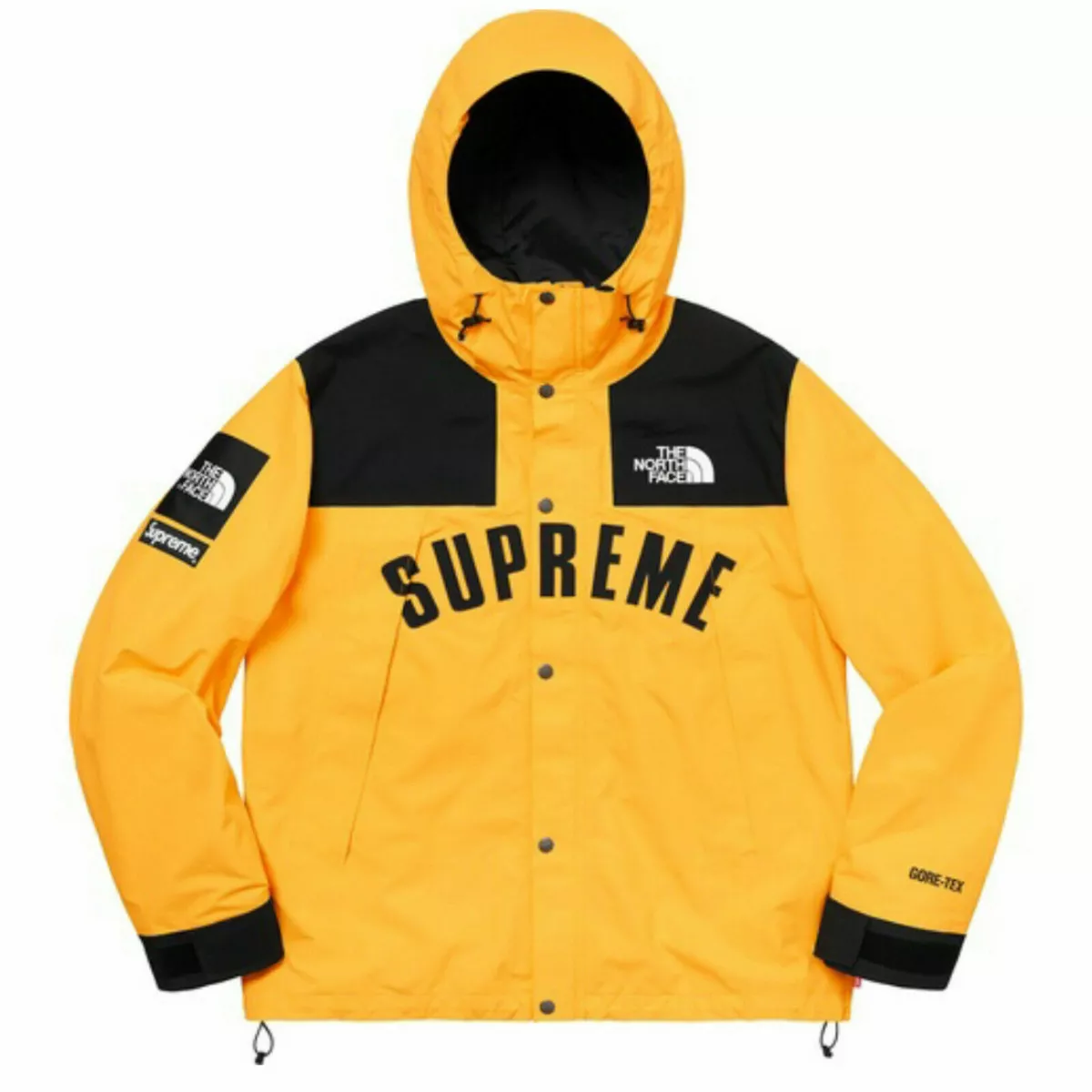 DS New Supreme North Face Arc Logo Mountain Parka Jacket Yellow Authentic  SS19 M