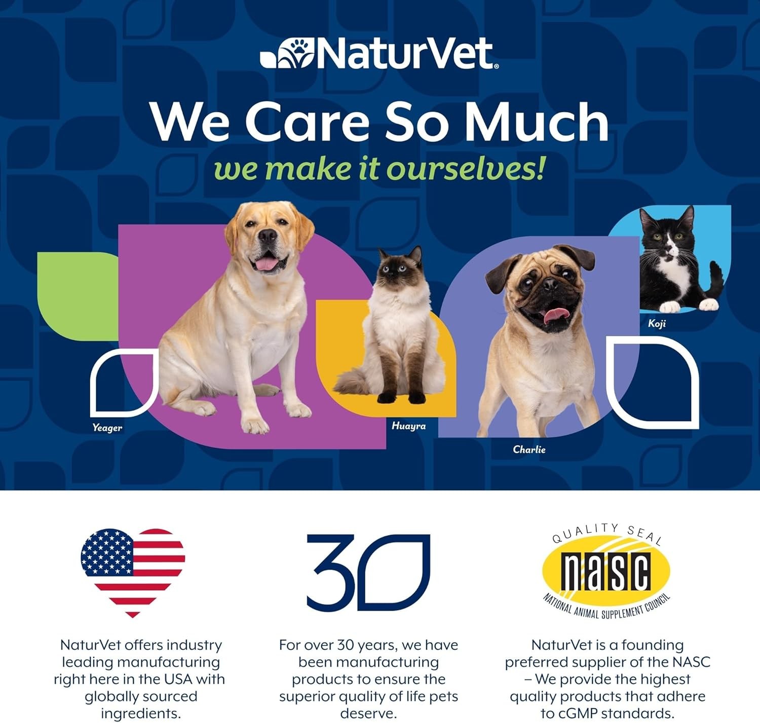NaturVet Senior Advanced Dog Joint Care with Collegen & Turmeric 60 Soft Chews