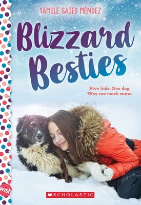 BLIZZARD BESTIES: A WISH NOVEL