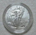 2024-W American Silver Eagle — photo from another recent sale