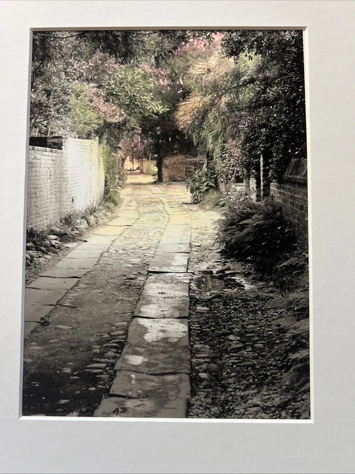 P. T. Turk Original Photography “ Gift Box” + Digital Masters - Charleston SC - - Image 2 of 4