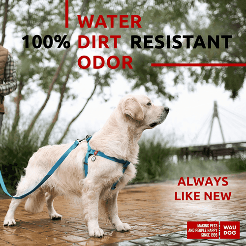 WAUDOG Arnés Impermeable para Perros Arnés Ajustable para Perros Grandes Pequeños y - Imagen 2 de 6