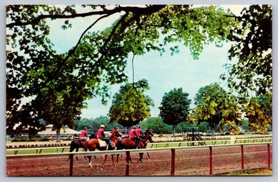 Saratoga Springs NY New York Working Out Horses Vintage