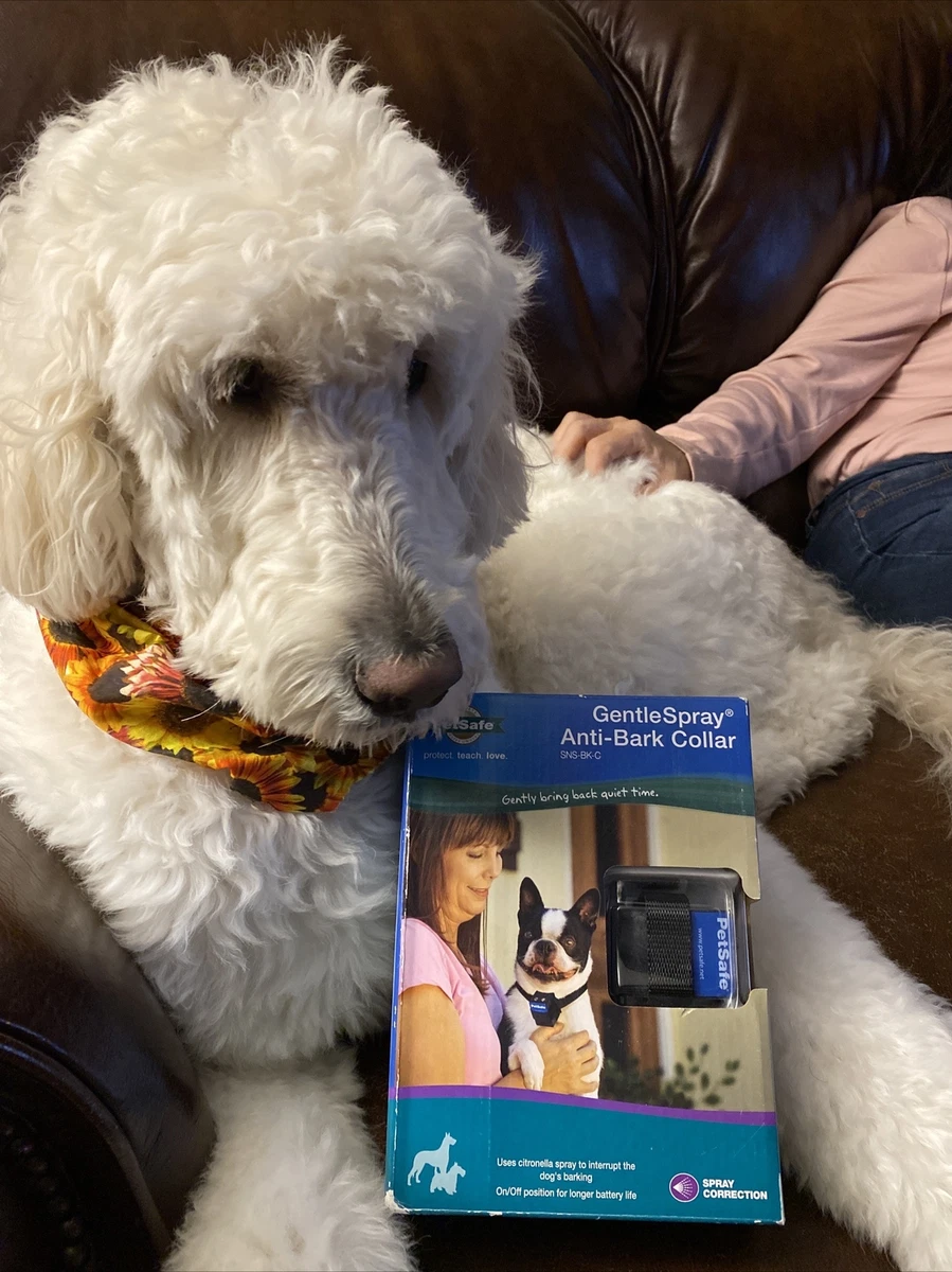 Petsafe anti bark box top