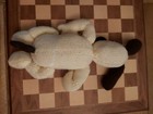 Bild 7 von 9