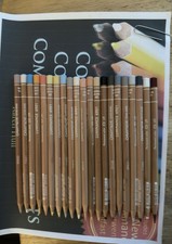 21 Caran d'Ache Luminance Colored Pencil 5 ble 3 Pablo's 4 polys Guide  case