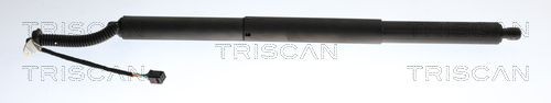 Triscan Gasfeder, Koffer-/Laderaum 8710 29323 FüR VW-image