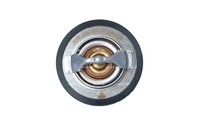 1X NRF 725205 Thermostat KüHlmittel FüR Cadillac Chevrolet