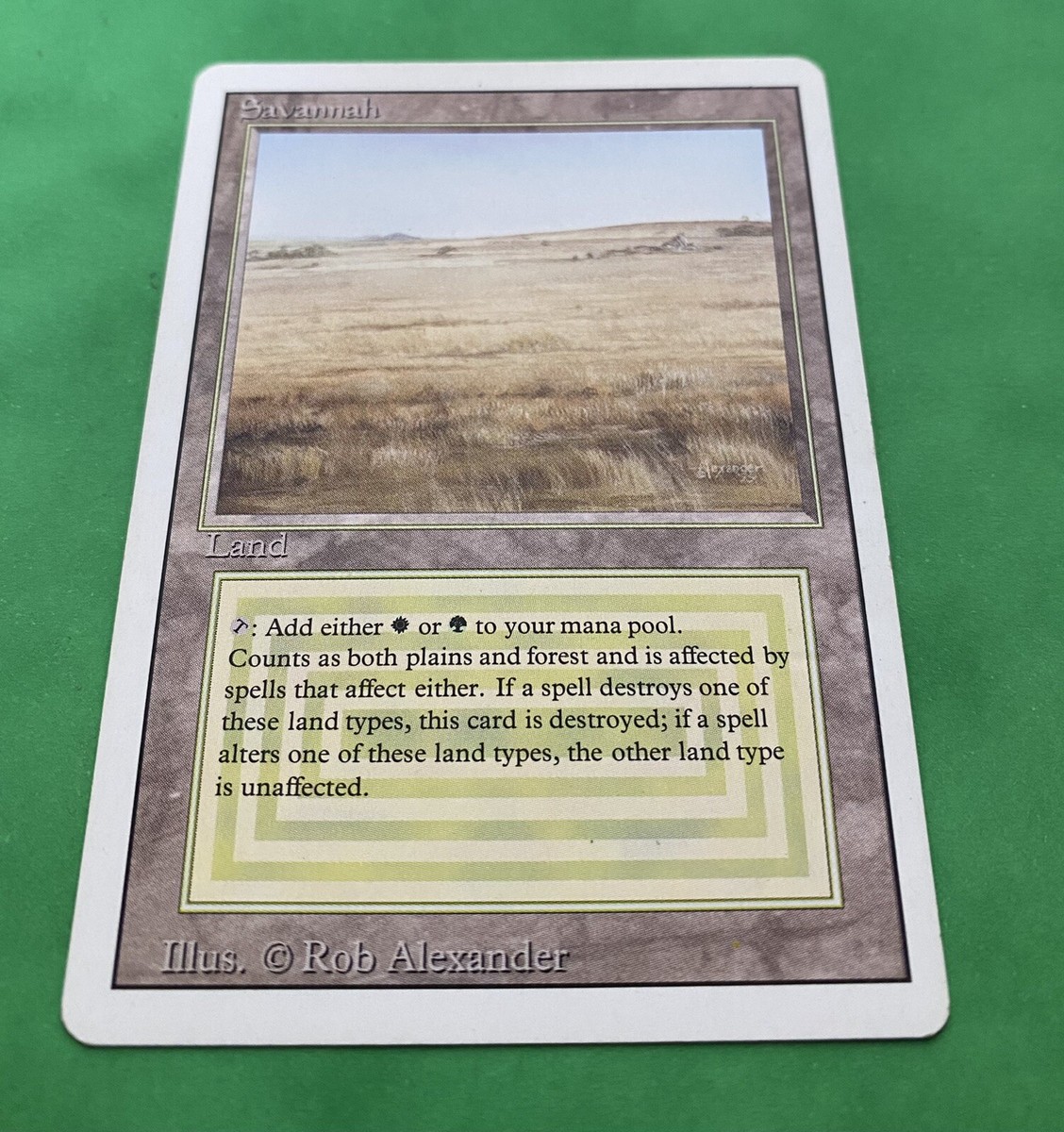 MTG Savannah イタリア語 mtg Savanaサバンナ イタリア語