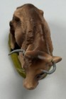 Foto 8 di 9