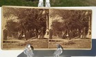 EARLY RP STEREOVIEW BOAT LANDING DOCK WELL DRESSED MEN & WOMEN LOCATION UNKNOWN — photo 1