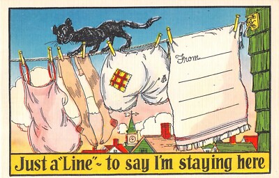 Black Cat on Clothes Line-Comic Old Linen PC-Just a Line To Say I'm Staying Here