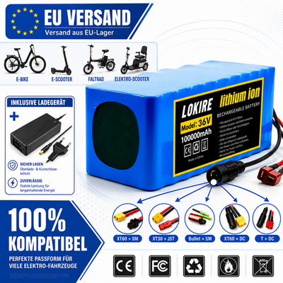 36V 100Ah E-Bike Akku Fahrradakku Li-Ion Akkupack Pedelec Scooter BMS Ladegerät