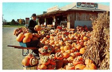 Postcard FARM SCENE Calverton New York NY f/01 AU6000