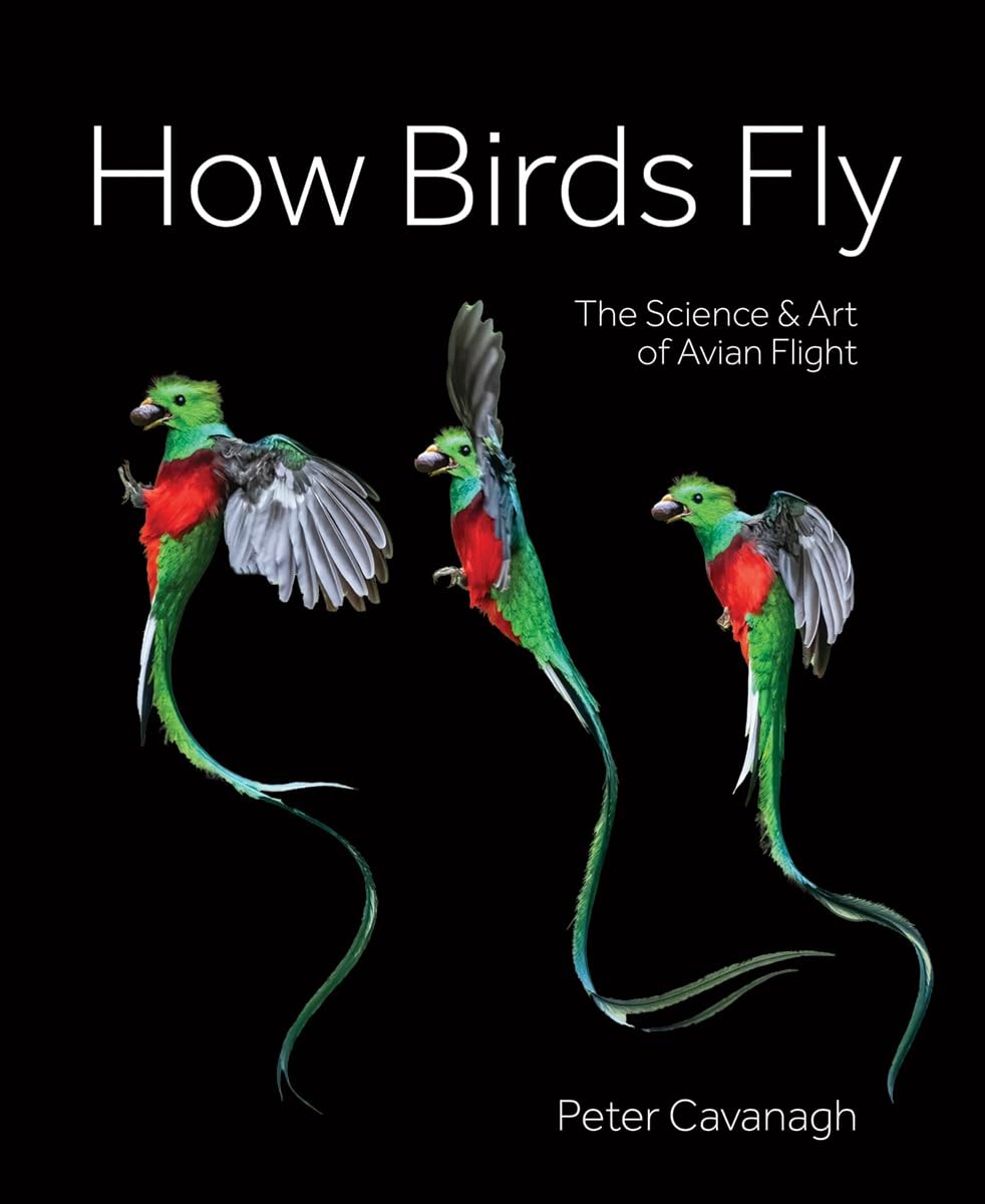 How Birds Fly The Science and Art of Avian Flight - Peter Cavanagh - HBK - VGC