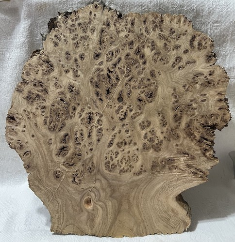 Unique Wood Log Slice For Decorative Wall Art Use (13.25” X 13.5”)
