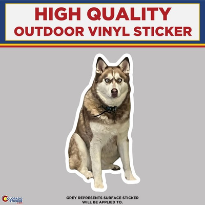 #ad Red Brown Husky Dog $4.50