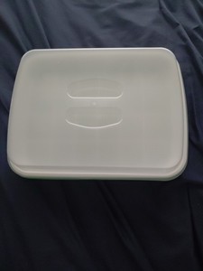 Microgreens Sprouter Tray Hydroponic/Sprouting Tray For Sprout Horticultural
