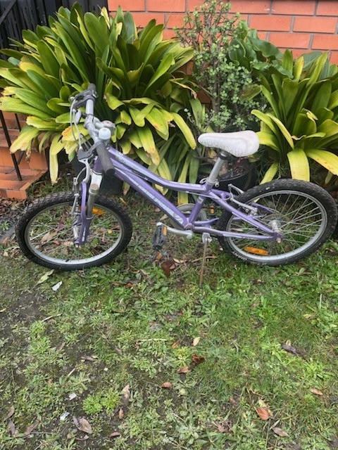 GIANT Roam Adult Bikes + GIANT Girls Bike - image 4 of 4