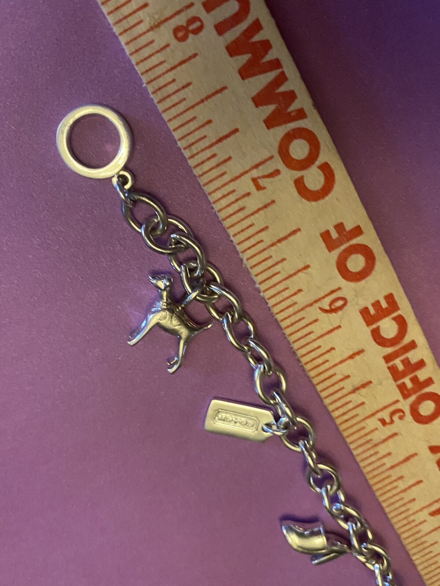 COACH チェック柄 犬の置物レア！！ COACH チェック柄 犬の置物レア！！ COACH チェック柄 犬の置物