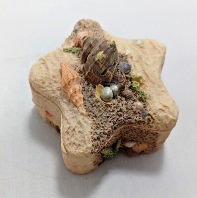 Starfish Two-Piece Trinket Box Nautical Coastal Sea Shells Beach Decoration