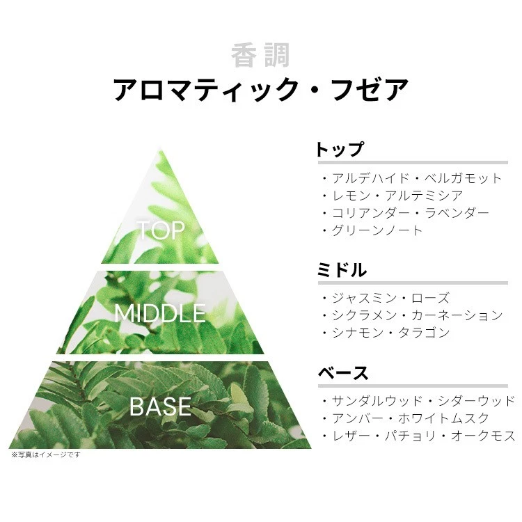 Ralph Lauren Safari para Hombre EDT SP 125ml Perfume Fragancia SAFARI PARA HOMBRES RALPH Foto 2 de 4