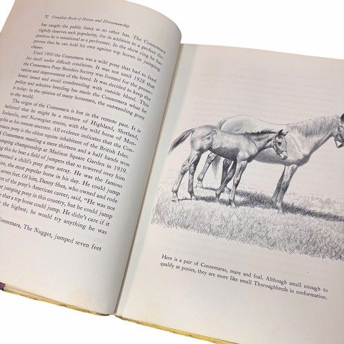 C. W. Anderson’s Complete Book Horses 1963 1st Printing Illustrated By Author - Picture 7 of 17