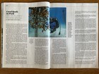 Time magazine 2025 June 23~Trump torch~deportations~Are you human~iris detection — photo 10