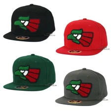 MEXICAN Hat Hecho En Mexico Eagle Fluffy Boucle Embroidery Snapback Baseball Cap