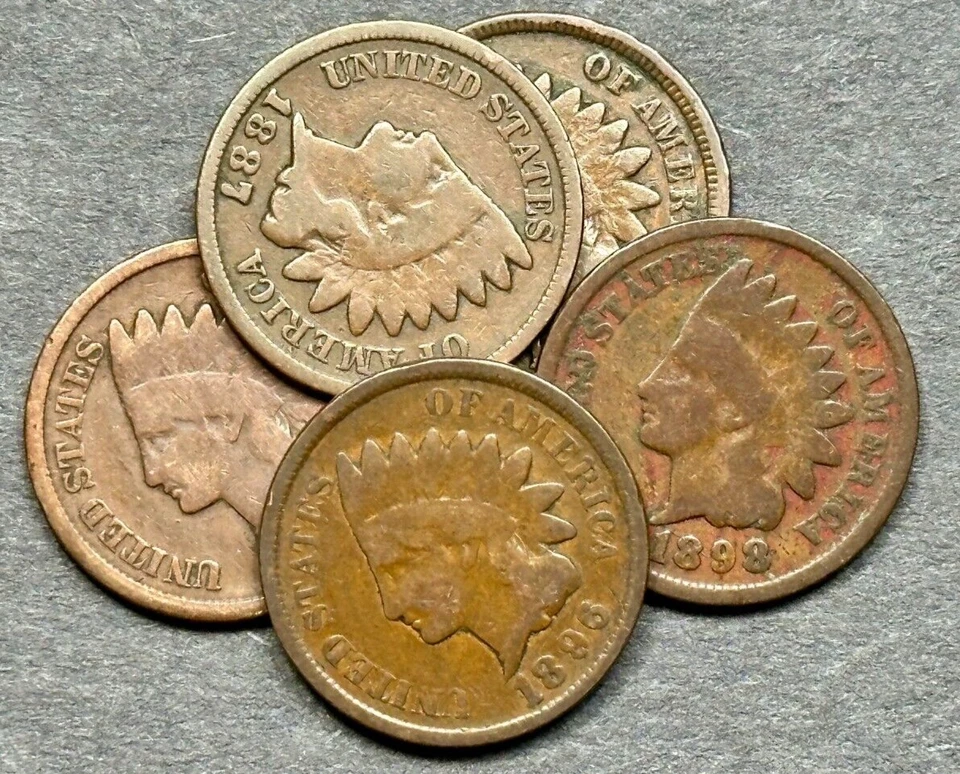 Estate Sale ~ Indian Head Cent Penny Lot of 5 DIFFERENT Dates From 1880 To 1899 - Image 3 of 4