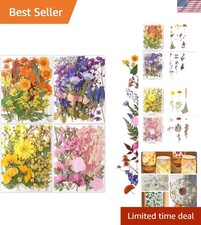 Pressed Flowers Bulk 80pcs Natural Dried Flowers for Resin Crafts Nail Art