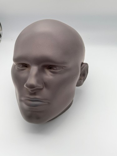 Quest Training AllStrike MMA Boxing Punching Target Human Face Head Focus Mitt
