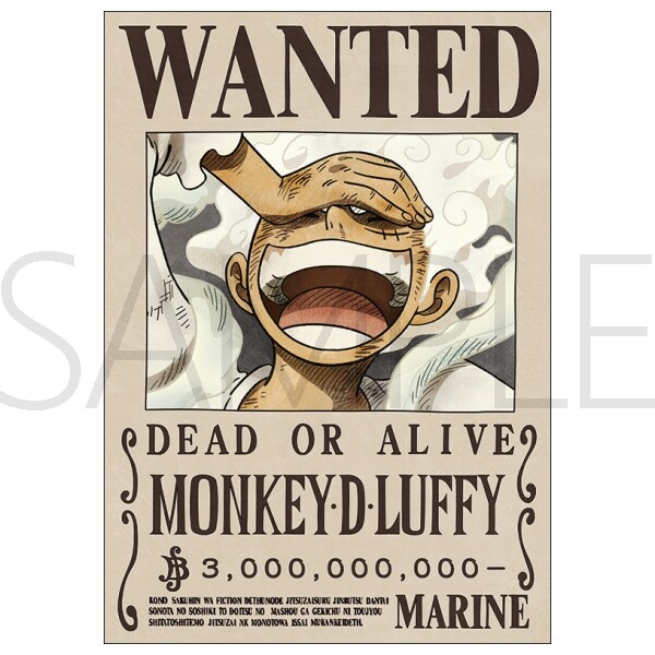 One Piece Marine Issued Official Wanted Poster 16.5x11.7 Inch