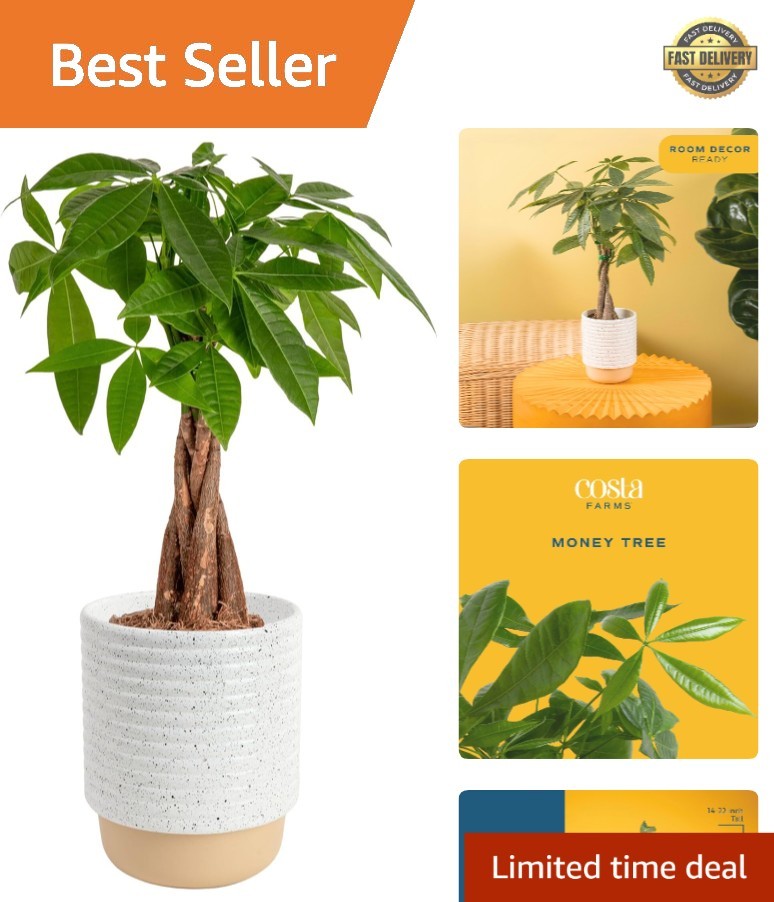 hanging plant pots SkyPots - Pot Hanger for Plants - Connectable Hanging Planter Kit - Pot not  Included