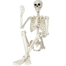 Halloween Skeleton Decorations,36" Posable Human Skeleton Decorations for Hal...