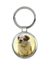 Bulldog : Gift Round Keychain I Am Not Fat Sturdy Pet Animal Puppy Dog Cute