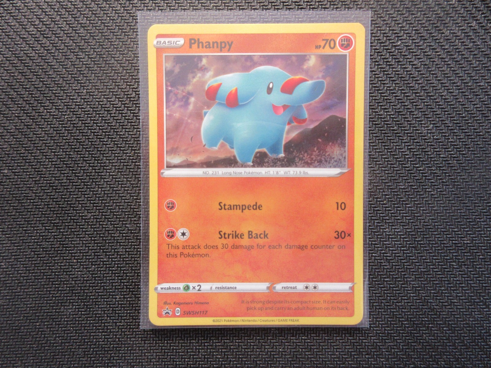 Phanpy Holo Promo SWSH117 Pokemon Card NM