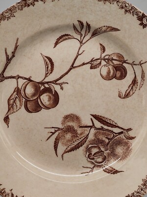Assiette Ancienne Faïence HBC Choisy le Roi – Décor sépia branches de  fruits