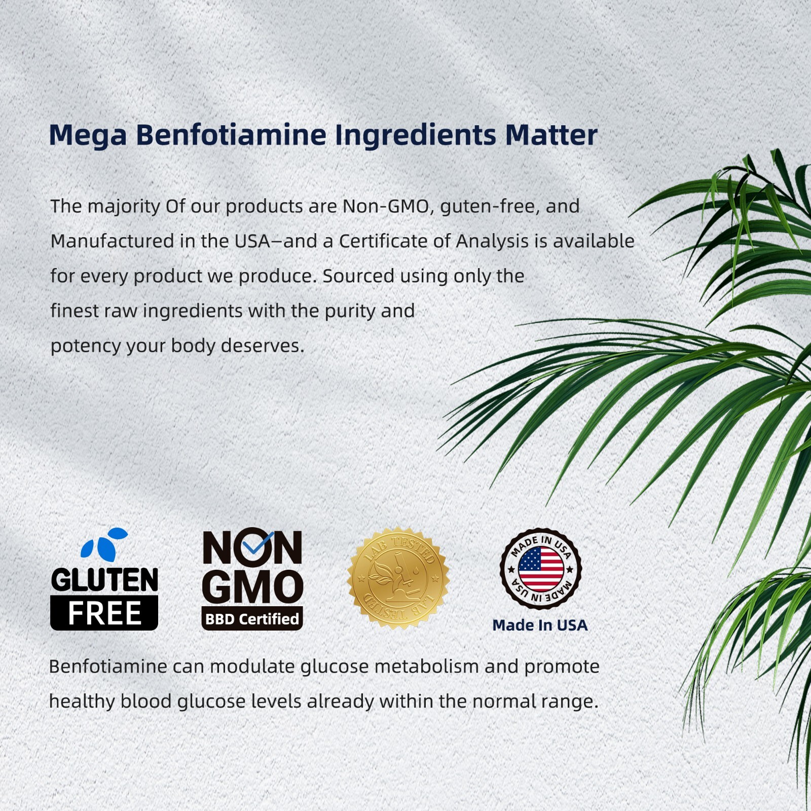 Benfotiamine 250mg 120 Veg Capsules Fat & Water Soluble Vitamin B1 eBay