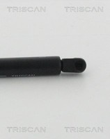Triscan Gasfeder, Koffer-/Laderaum 8710 29298 FüR VW