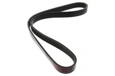 MAPCO Keilrippenriemen 1019mm für FORD Fiesta Mk6 Schrägheck (JA8, JR8) 261019E