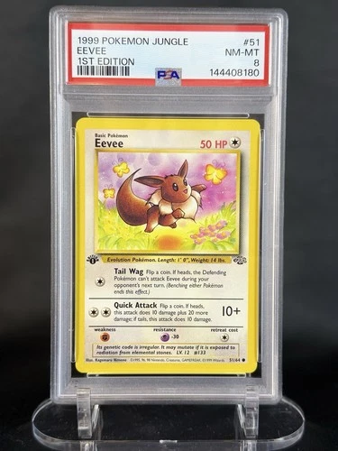 Pokemon Jungle 1st Edition Eevee 51/64 PSA 8 FRESH GRADE