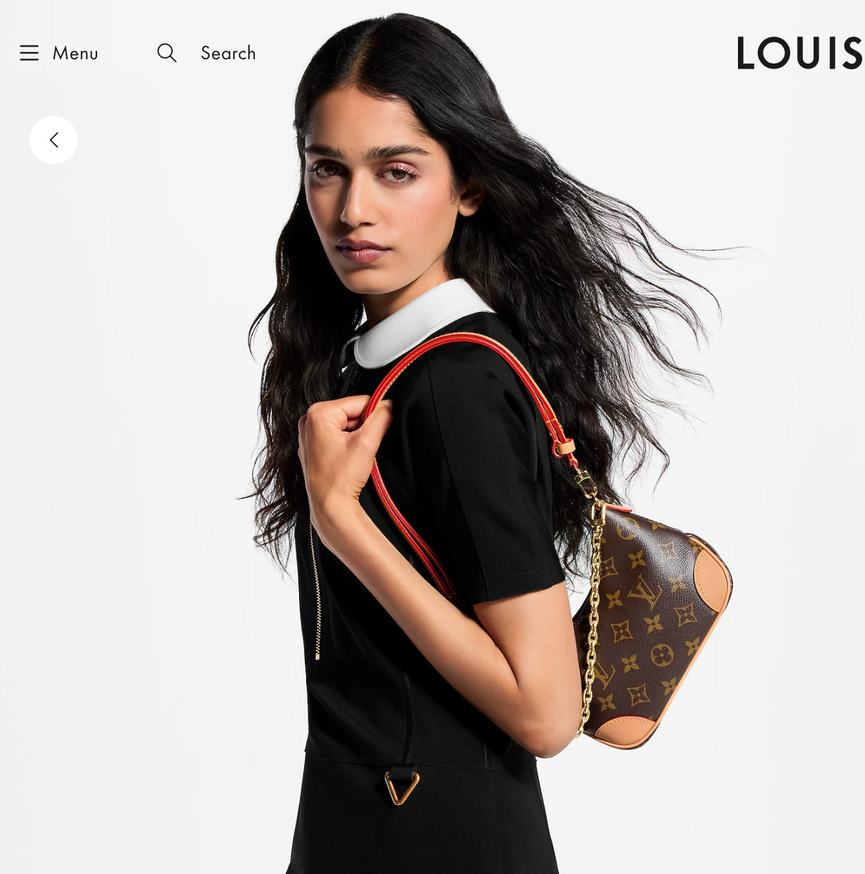 Louis Vuitton Nano Boulonge - Monogram Canvas