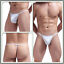 Miniaturansicht 2  - Men T Back Pouch Thongs G String Briefs Underwears Gay Bikini Underpants Rainbow