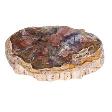 Natural Petrified Wood Slice Mineral Specimen Home Office Decoration, Irregul...