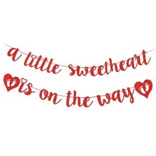 Valentines Baby Shower Decorations A Litter Sweetheart is On The Way Banner red