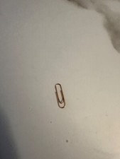 PapER CLiP - that’s it. Just a paper clip 